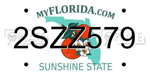2SZZ579 Florida License Plate