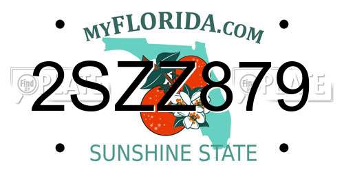 2SZZ879 Florida License Plate