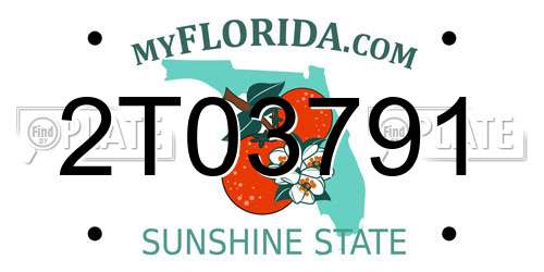 2T03791 Florida License Plate