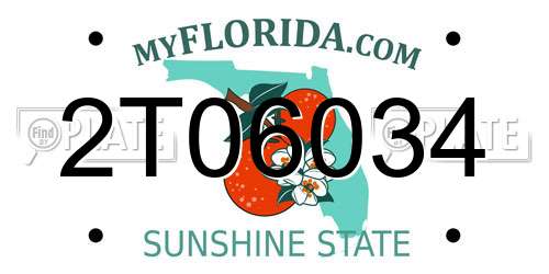 2T06034 Florida License Plate