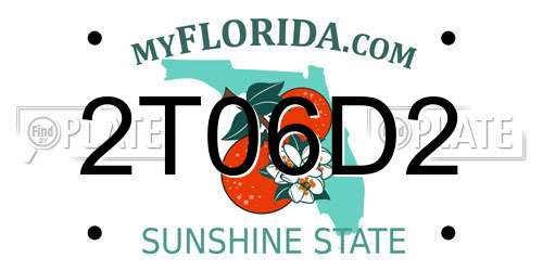 2T06D2 Florida License Plate