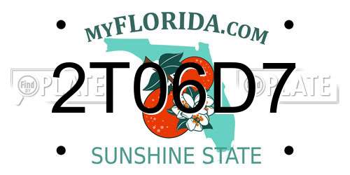 2T06D7 Florida License Plate