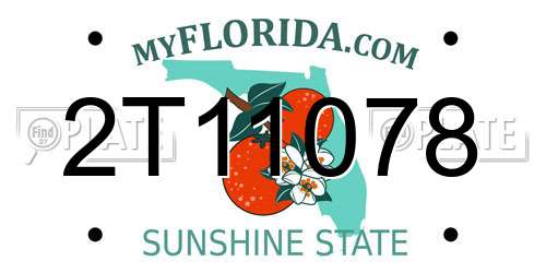 2T11078 Florida License Plate