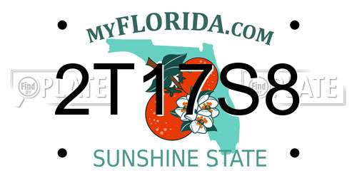 2T17S8 Florida License Plate