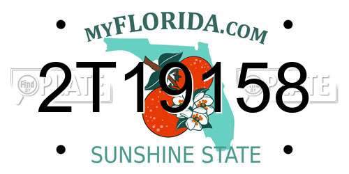 2T19158 Florida License Plate