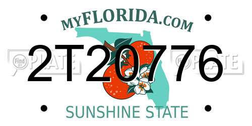 2T20776 Florida License Plate