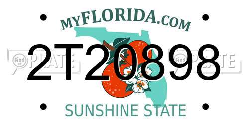 2T20898 Florida License Plate