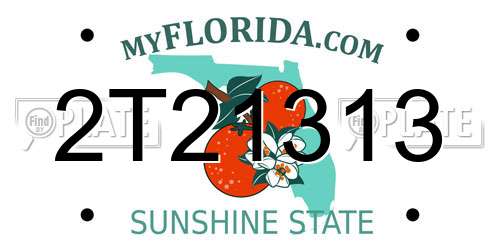 2T21313 Florida License Plate