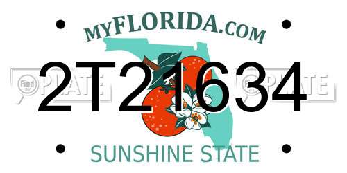 2T21634 Florida License Plate