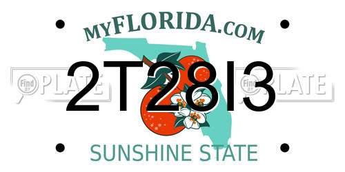 2T28I3 Florida License Plate