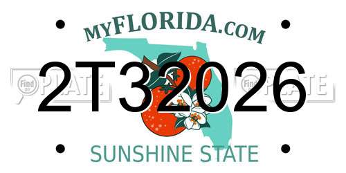 2T32026 Florida License Plate