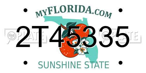 2T45335 Florida License Plate
