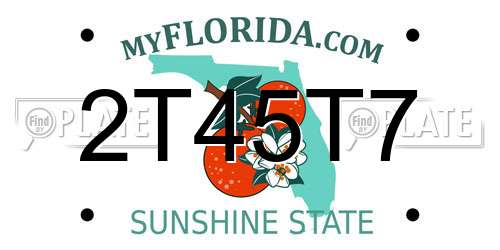 2T45T7 Florida License Plate