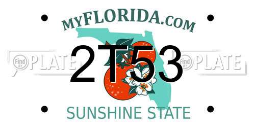 2T53 Florida License Plate