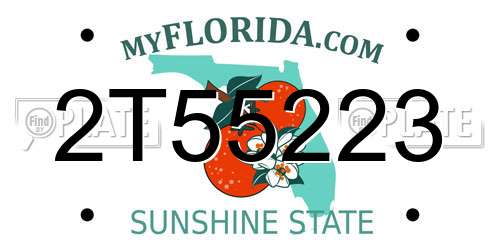 2T55223 Florida License Plate