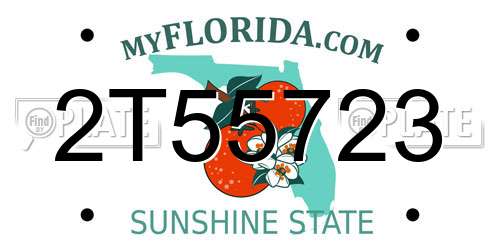 2T55723 Florida License Plate