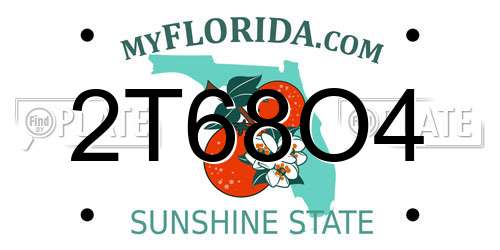 2T68O4 Florida License Plate