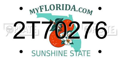 2T70276 Florida License Plate