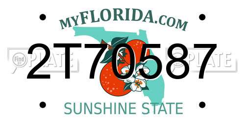 2T70587 Florida License Plate