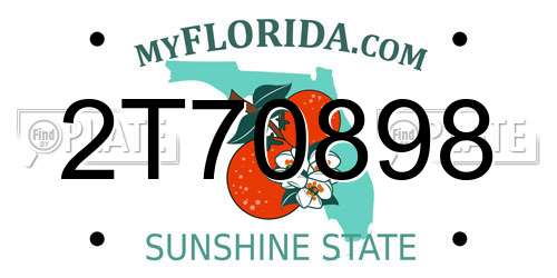 2T70898 Florida License Plate