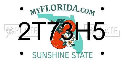2T73H5 Florida License Plate