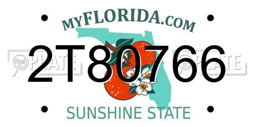 2T80766 Florida License Plate