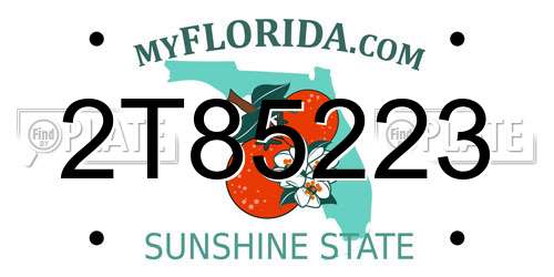 2T85223 Florida License Plate