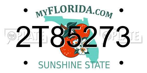 2T85273 Florida License Plate
