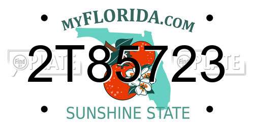 2T85723 Florida License Plate