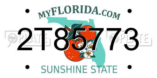 2T85773 Florida License Plate