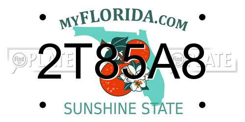 2T85A8 Florida License Plate