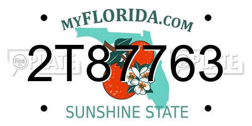 2T87763 Florida License Plate