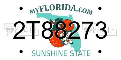 2T88273 Florida License Plate