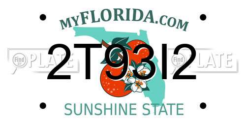 2T93I2 Florida License Plate