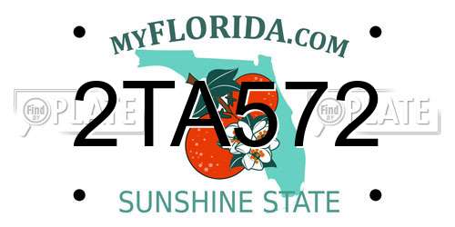 2TA572 Florida License Plate