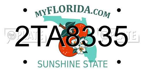 2TA8335 Florida License Plate