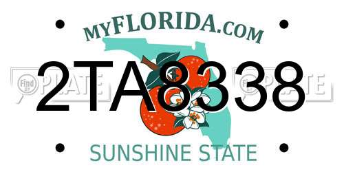 2TA8338 Florida License Plate