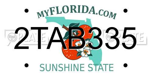 2TAB335 Florida License Plate