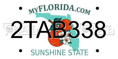 2TAB338 Florida License Plate