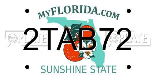 2TAB72 Florida License Plate
