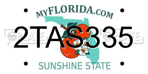 2TAS335 Florida License Plate