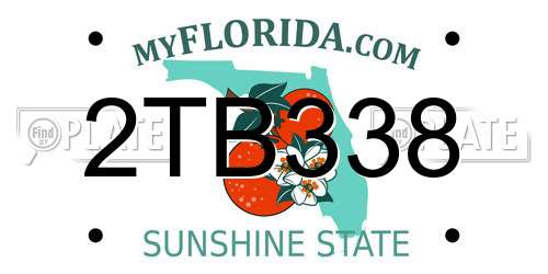 2TB338 Florida License Plate