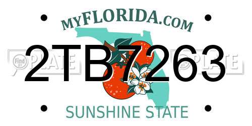 2TB7263 Florida License Plate