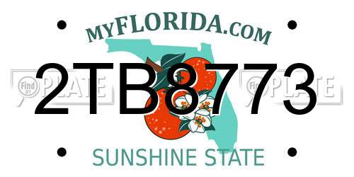 2TB8773 Florida License Plate
