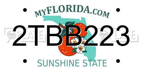 2TBB223 Florida License Plate