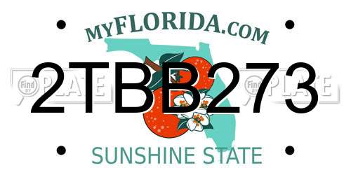 2TBB273 Florida License Plate