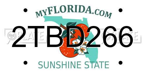 2TBD266 Florida License Plate