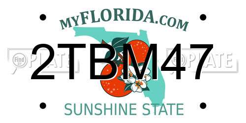 2TBM47 Florida License Plate