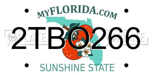 2TBO266 Florida License Plate