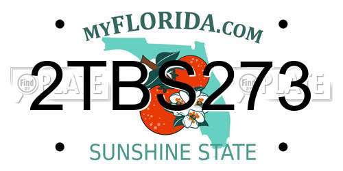 2TBS273 Florida License Plate